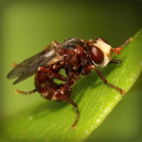 /album/sugvatiten/photolia-a06-jpg/